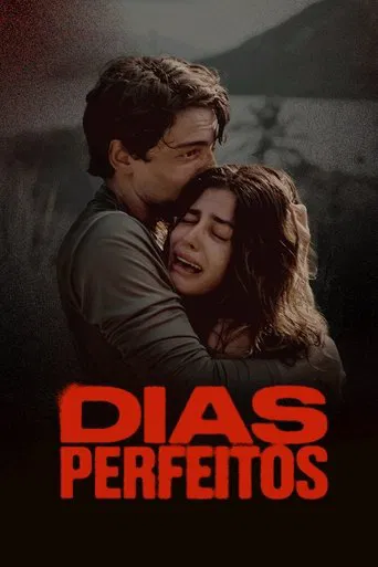Perfect Days poster