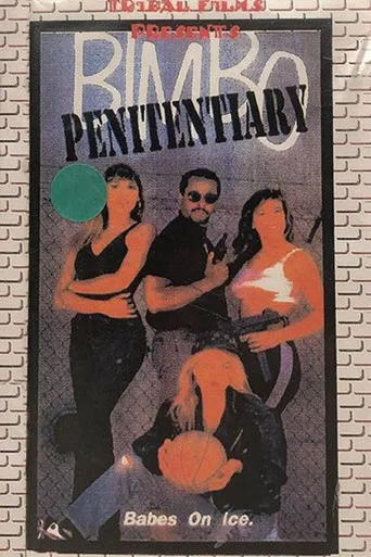Bimbo Penitentiary poster