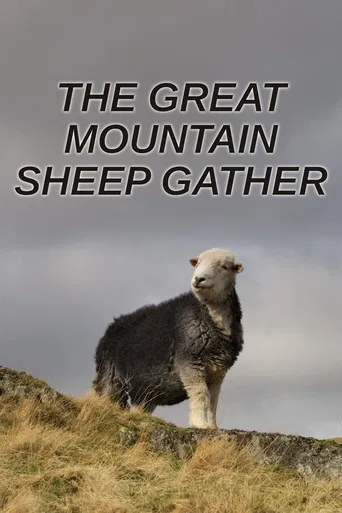 The Great Mountain Sheep Gather poster