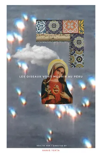 Birds go to die in Peru poster