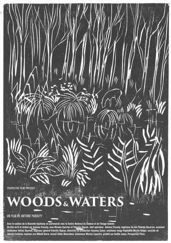 Woods and Waters poster