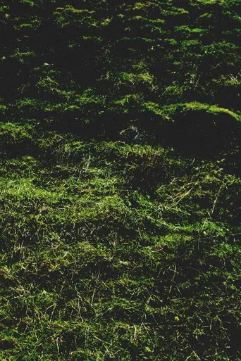 Untitled / Aubrac poster