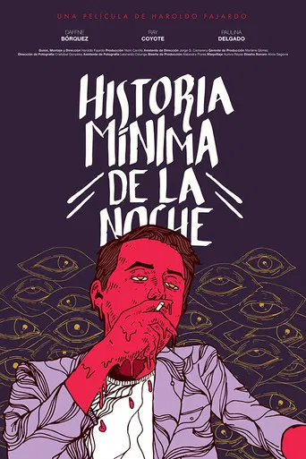 Historia mínima de la noche poster