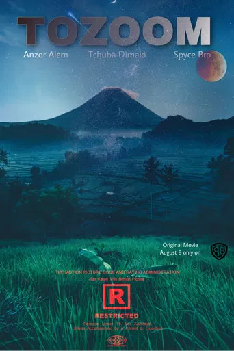 Tozoom poster