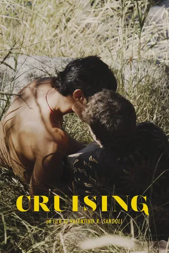 Cruising poster