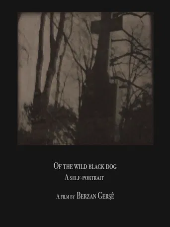 Of The Wild Black Dog poster