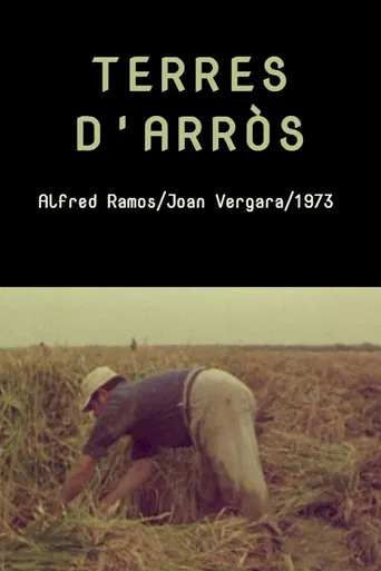 Terres d'arròs poster