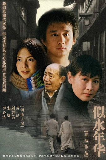 似水年华 poster