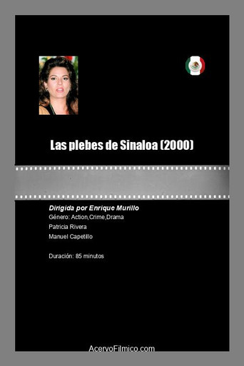 Las plebes de Sinaloa poster