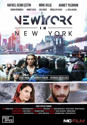 New York in New York poster
