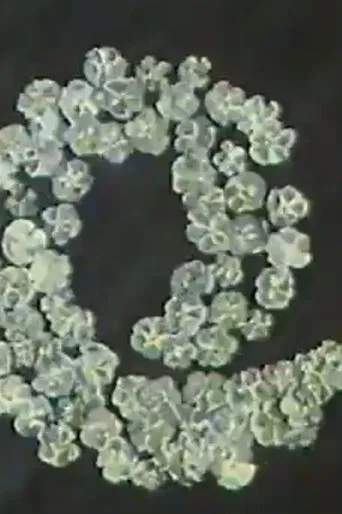 Forget-Me-Nots poster