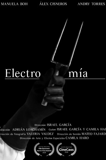 Electromía poster