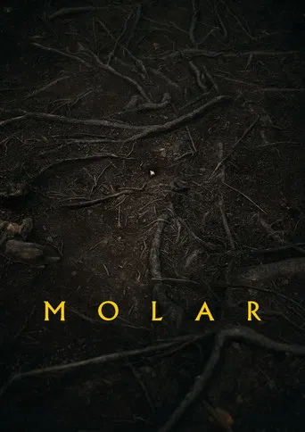 Molar poster