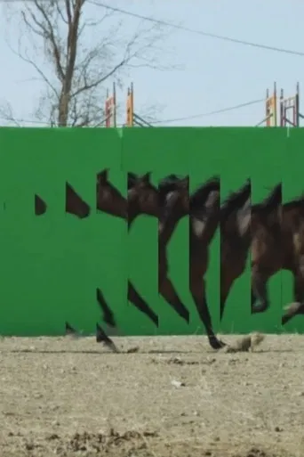 Playgrounds In Motion poster