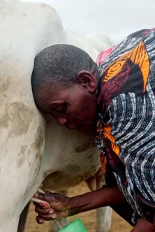 La sombra del Baobab poster