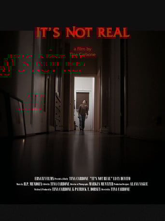 It's Not Real poster