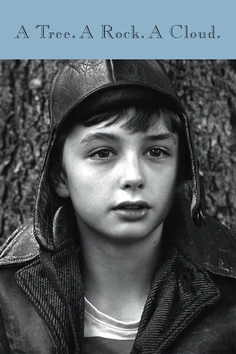 A Tree a Rock a Cloud poster