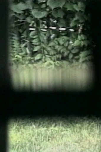 Principles of Harmonic Motion poster