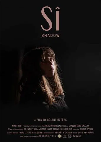 Shadow poster