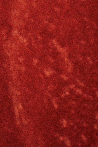 Dressed to Kill a Watermelon Man poster