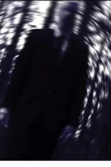 Trial of Leaves poster