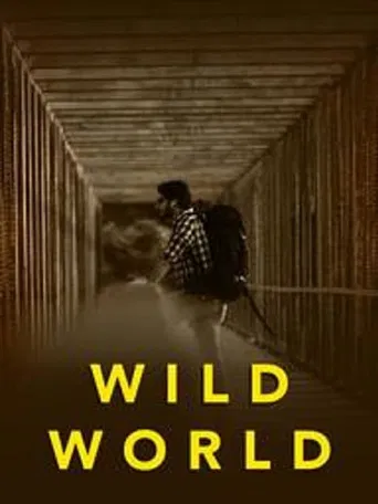 Wild World poster