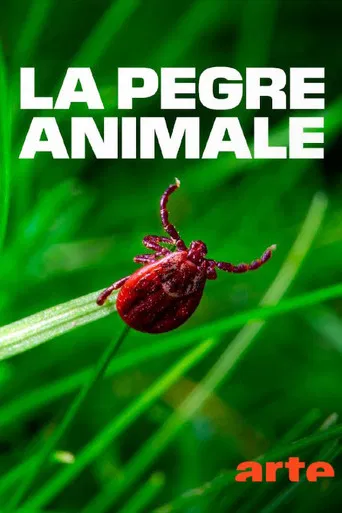 La pègre animale: la vie secrète des parasites poster
