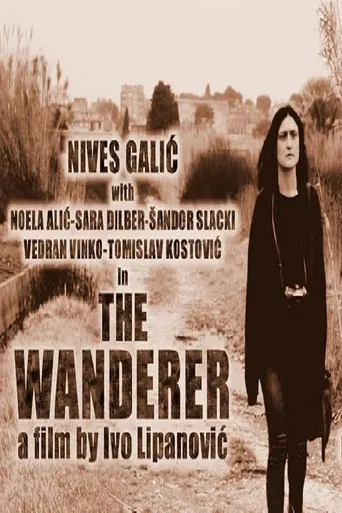The Wanderer poster