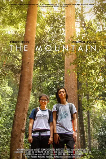 The Mountain poster