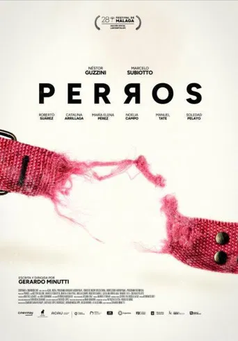 Perros poster
