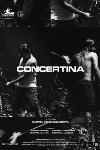 Concertina poster