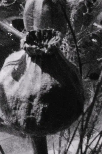 Ein windiger Frühlingstag poster