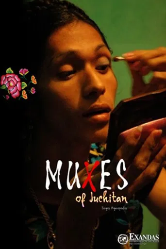 Muxes of Juchitán poster