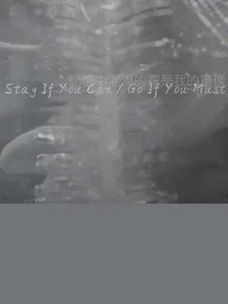 Stay If You Can / Go If You Must poster