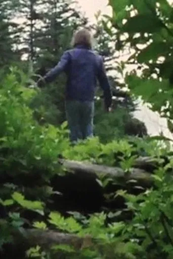 Beautiful Lennard Island poster