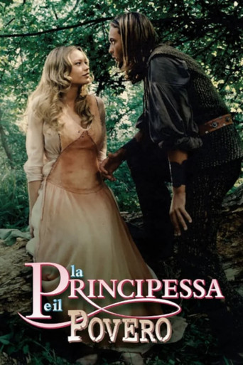 La principessa e il povero poster