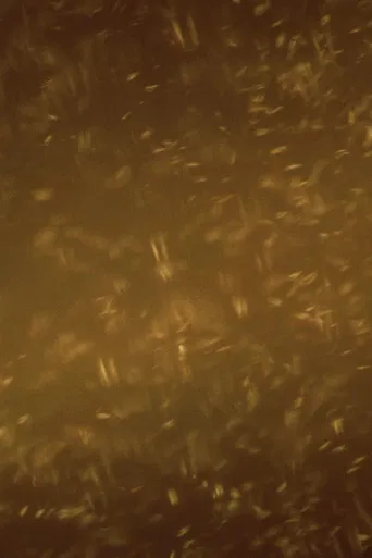 A Heap of Broken Images poster