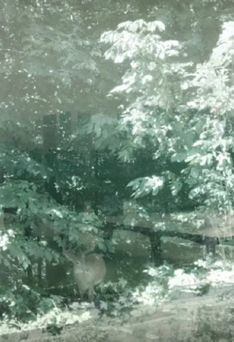 Weather, There poster