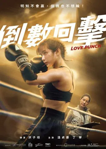 Love Punch poster