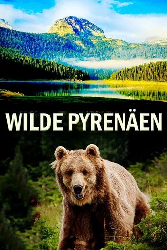 Wild Pyrenees poster