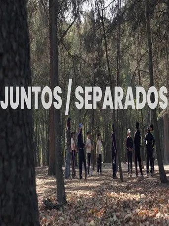 Together / Apart poster