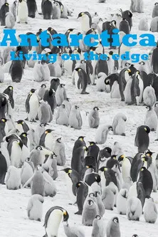 Antarctica - Living on the edge poster