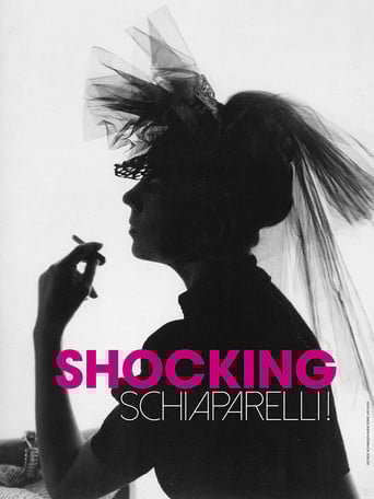 Shocking Schiaparelli! poster