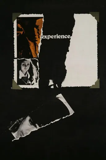 The Experience poster