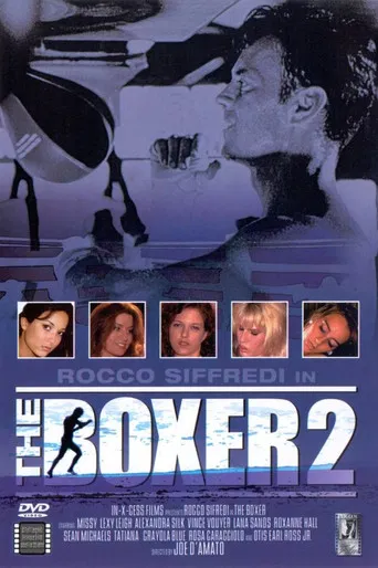The Boxer 2 poster