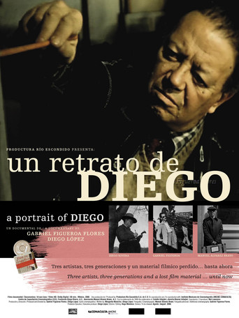 Un retrato de Diego poster