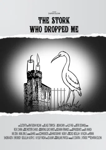 The Stork Who Dropped Me poster