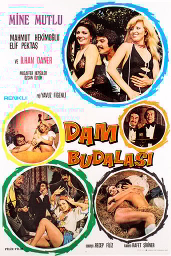Dam Budalası poster