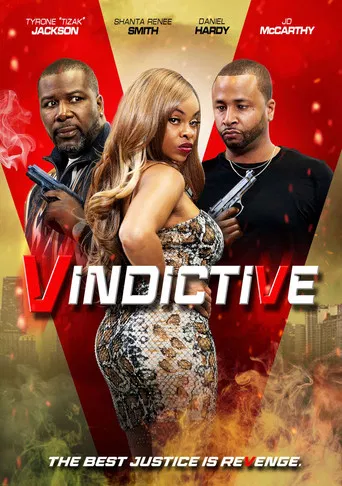 Vindictive poster