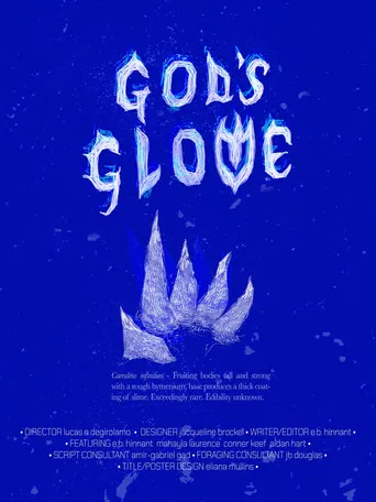 God's Glove poster